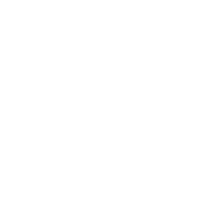 Globe icon